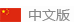 中文版
